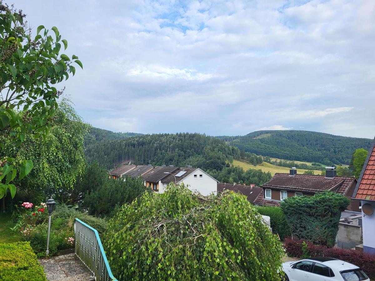 Birkenstuebchen Lautenthal Exterior foto